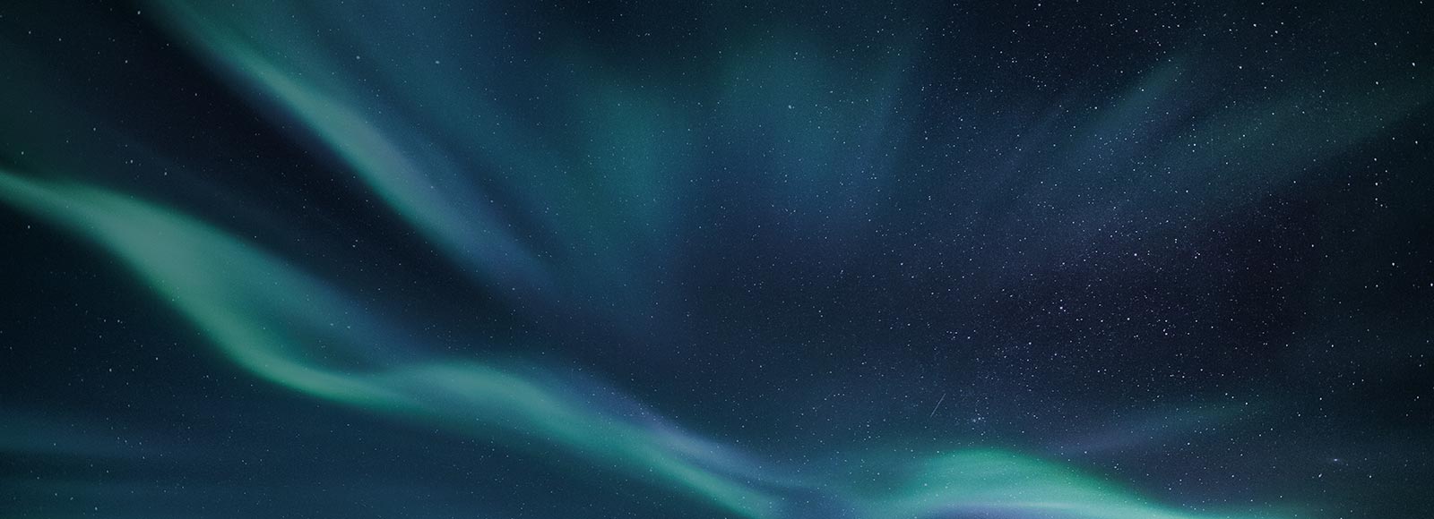 PYA CAS/CAAS Client Accounting Advisory Services Knoxville