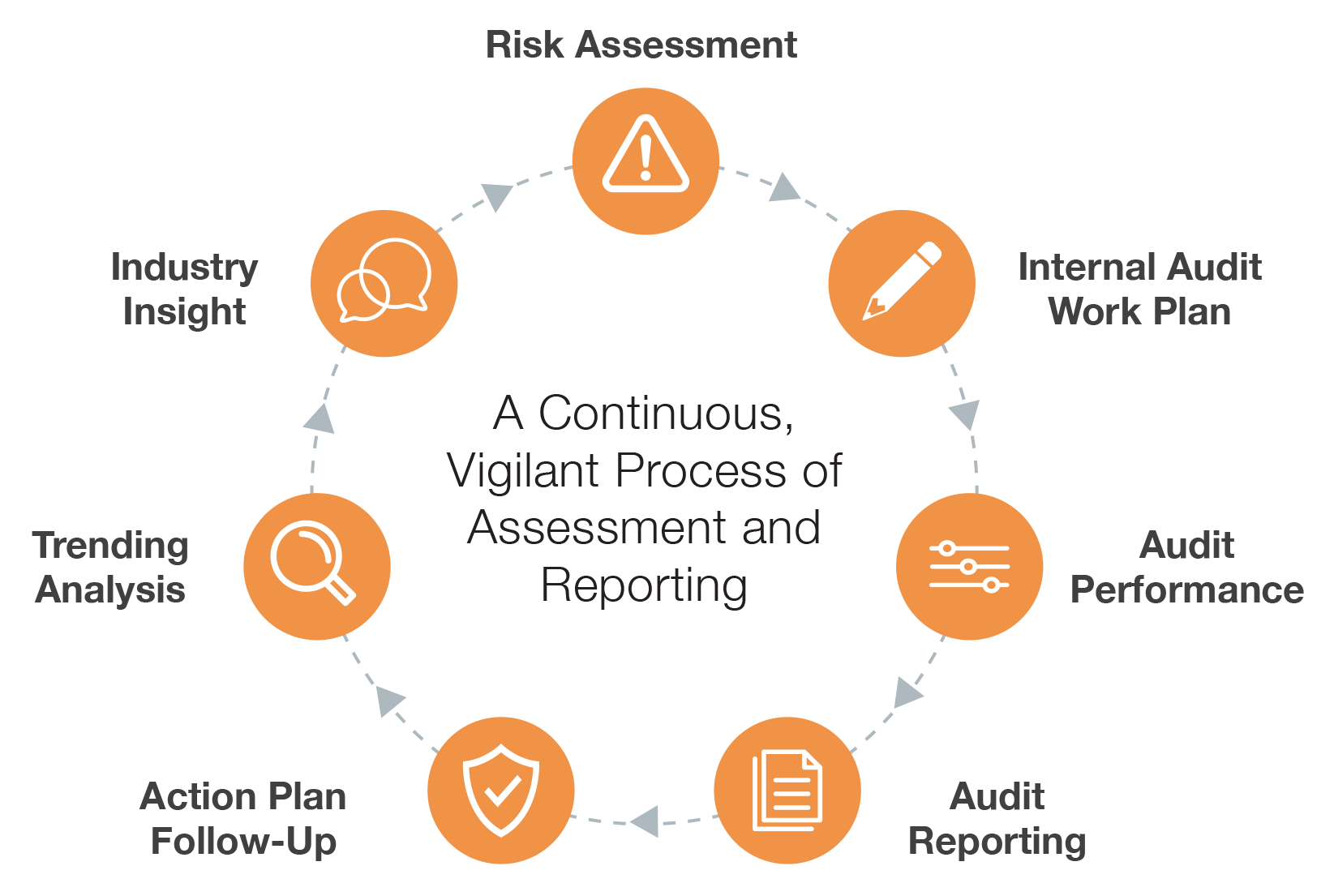 Healthcare Internal Audit Cycle