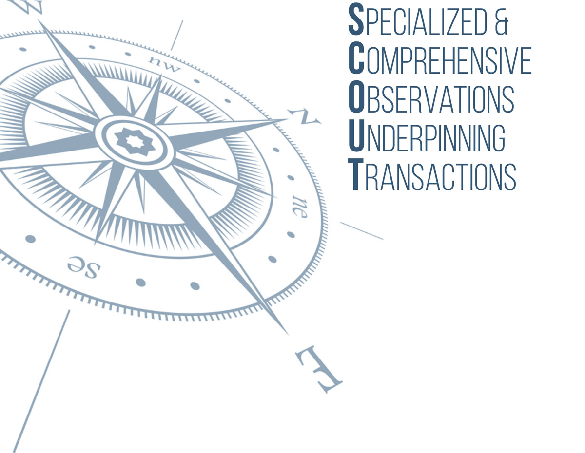SCOUT - Healthcare Due Diligence Solution